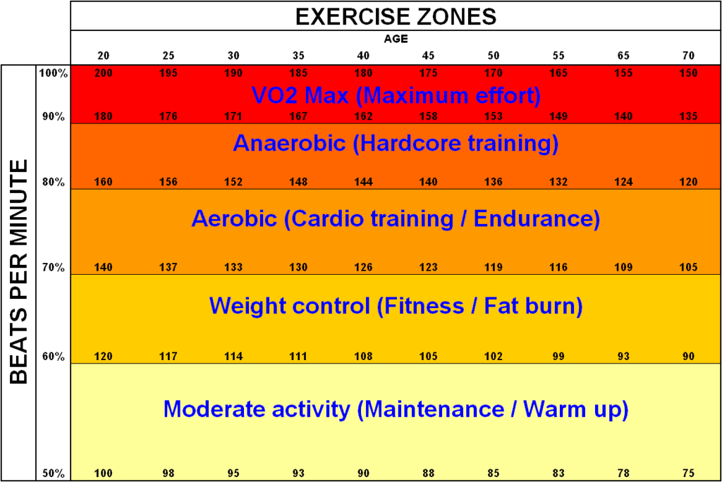 Target heart rate zones explained